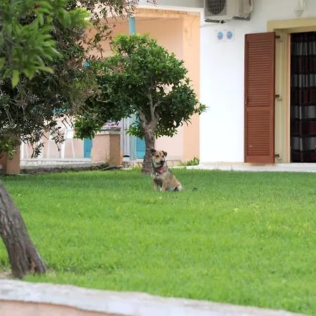 Summertime Hotel Sidárion